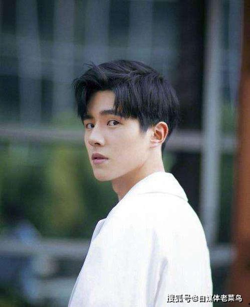 爆料刘昊然陈坤事件视频,真相与争议交织 第1张 爆料刘昊然陈坤事件视频,真相与争议交织 第1张